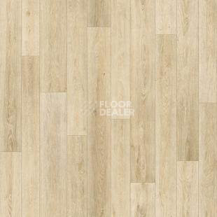 Линолеум Tarkett Bonus Duncan 1 фото 1 | FLOORDEALER